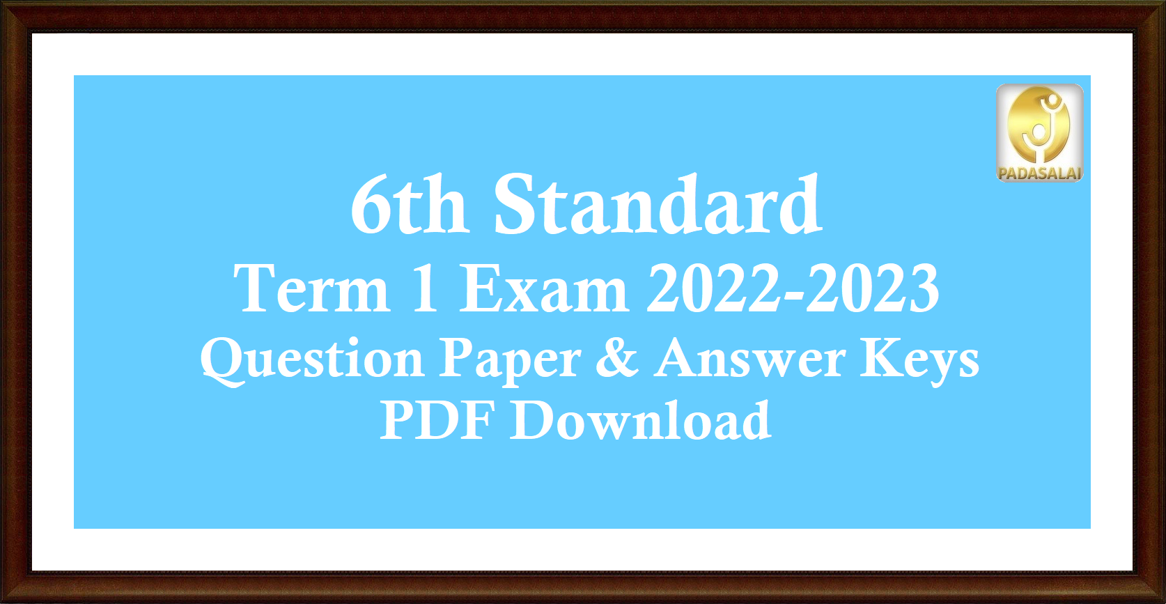 essay 1 exam paper 6th class 2023